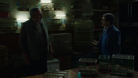 Gennaro schimbă foaia, în această seară, într-un nou episod din serialul “Gomora”, la Kanal D2